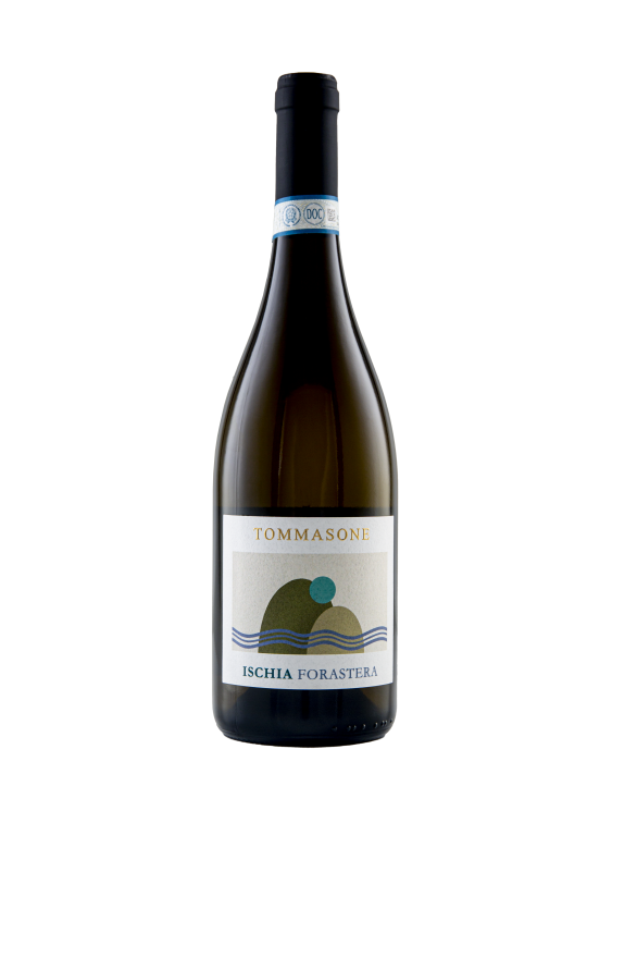 Ischia Bianco Terradei